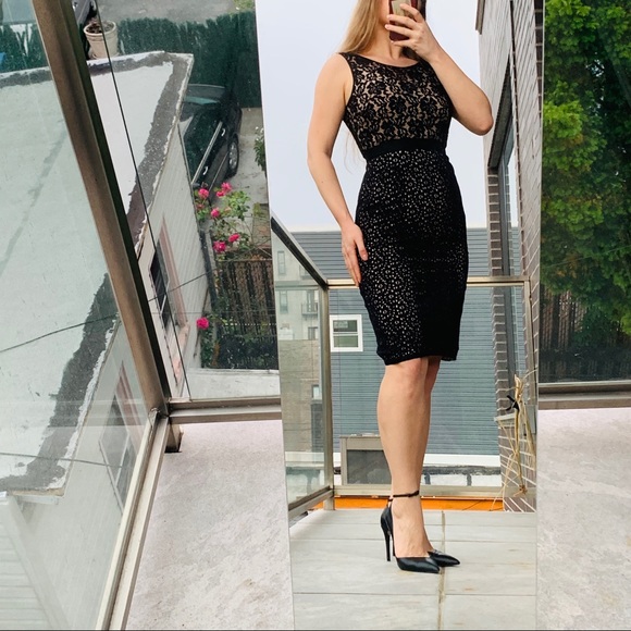 BCBGMAXAZRIA Alice Black Tan Lace Cocktail Dress - Picture 12 of 12